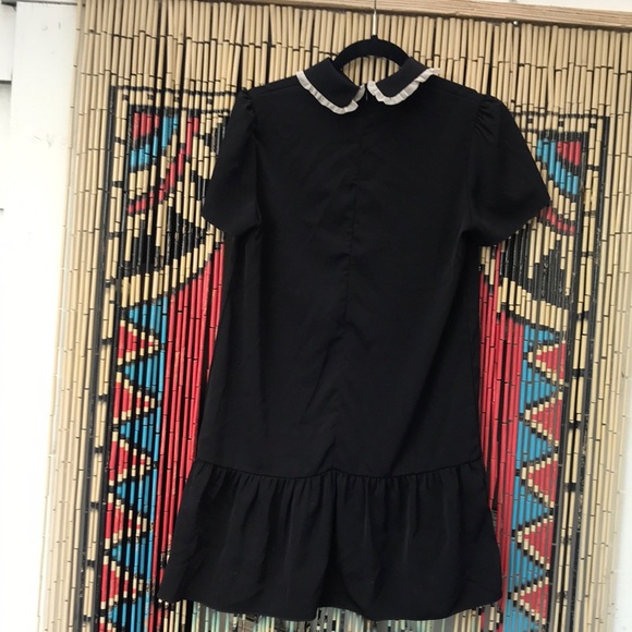 Peter Pan Collared Mini Dress With White Trim - Picture 5 of 7